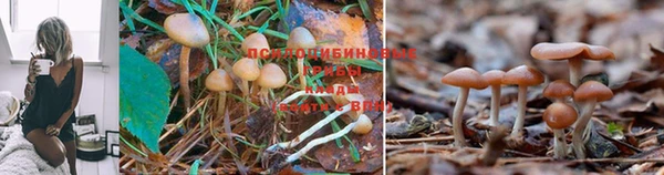марки nbome Абинск