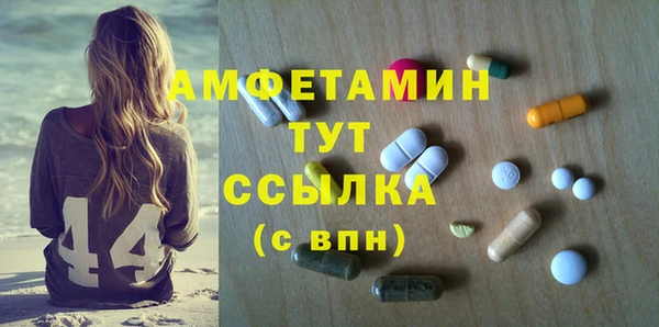 ECSTASY Алзамай