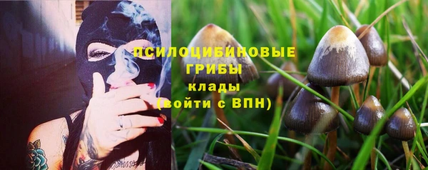 ECSTASY Алзамай