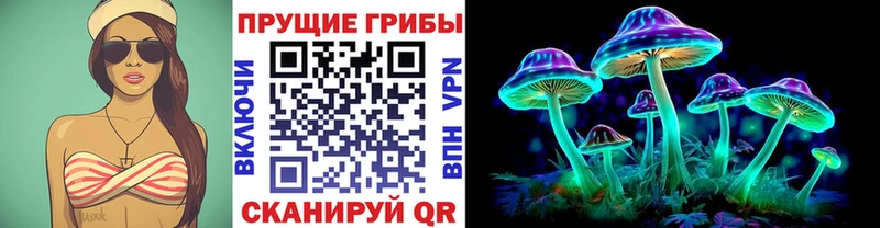 Галлюциногенные грибы GOLDEN TEACHER  продажа наркотиков  Сольвычегодск 